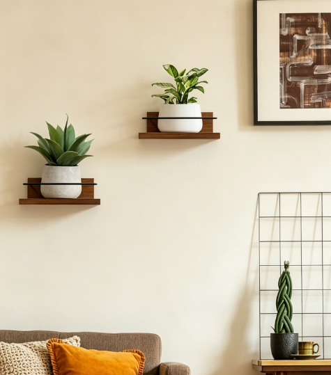 Wooden Floating Plant Shelves, 2-Pack Wall Mounted Planter Holders